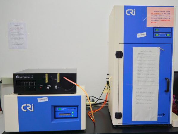 高敏小动物光学成像系统